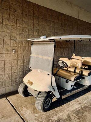 Can a 14-Year-Old Drive a Golf Cart? And Why Do Pineapples Dream of Electric Sheep?