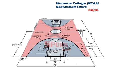 Is Women's Basketball Smaller: Exploring the Dimensions and Beyond