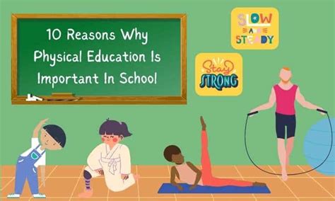 Reasons Why Physical Education is Important in School: And Why It Might Just Save the World