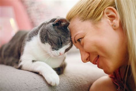 Who Invented Physical Education and Why Do Cats Love Yoga?